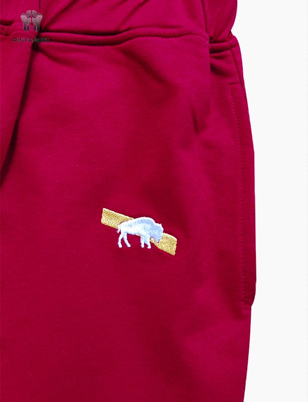 Unisex Stretch Drawstring Shorts in Red, Casual Lounge Sleepwear Athletic Running Shorts