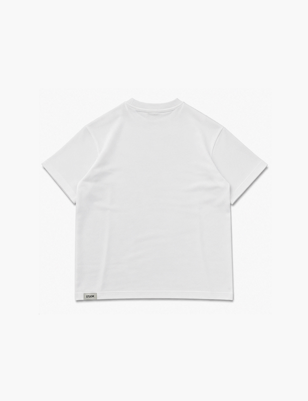 Everyday Essential 100% Cotton T-Shirt | Soft Crewneck Basic Tee for Men & Women