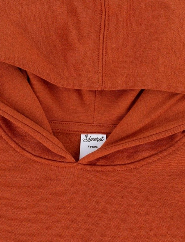 Customizable DTG Hoodie for Unique Designs &ndash; Vibrant & Detailed Prints